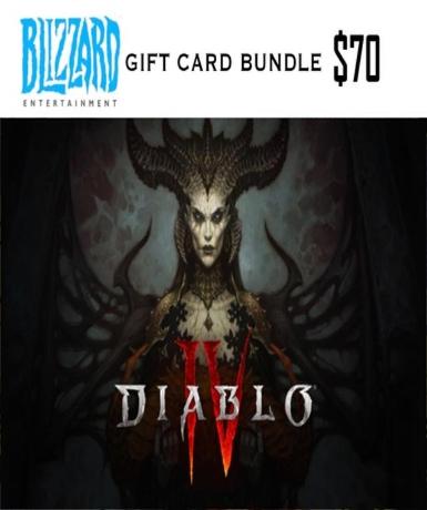Diablo IV / Diablo 4 – 70 USD Battle.net Gift Card Bundle (US) - Battle.net Game - Buy Now at Best Price
