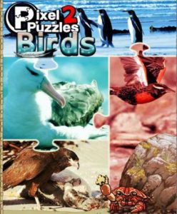 Pixel Puzzles 2: Birds (EU) - Steam Game - Buy Now at Best Price