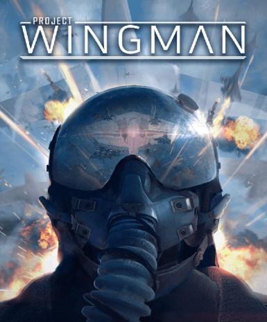 Project Wingman - Steam Game - Buy Now at Best Price