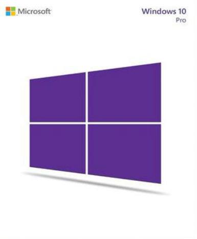 Windows 10 Professional OEM CoA - None Game - Buy Now at Best Price