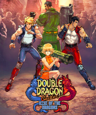 Double Dragon Gaiden: Rise of the Dragons game cover for Steam platform