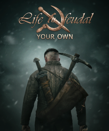 Life is Feudal: Your Own game cover on Steam platform