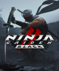 NINJA GAIDEN 2 Black cover art for Steam platform, EU region